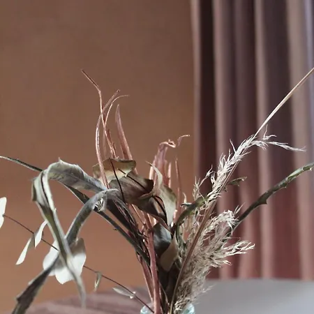 Appartement Floriads Caramel Mondovì